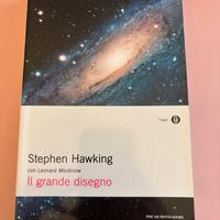 Il grande disegno - Stephen Hawking