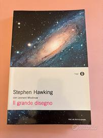 Il grande disegno - Stephen Hawking