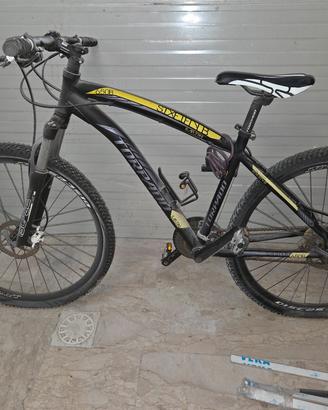 bicicletta Torpedo