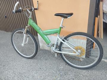 bicicletta 