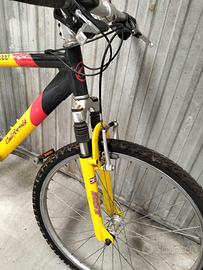Bicicletta