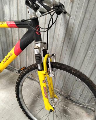 Bicicletta