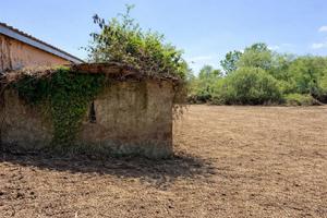 Terreno di 5500 m² a Trevignano Romano