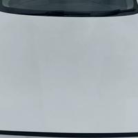 Cofano Originale Bmw Serie F20 F21 F22 F23 2011-19