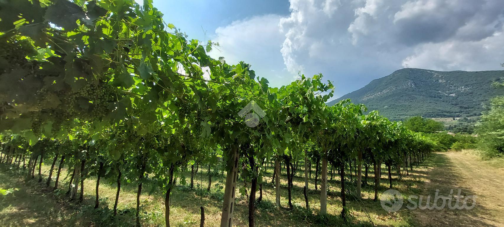 TER. AGRICOLO A CAPRINO VERONESE - Vista 5