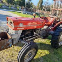 Trattore Massey Ferguson 135