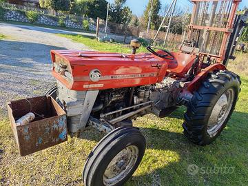 Trattore Massey Ferguson 135