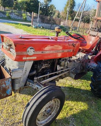 Trattore Massey Ferguson 135