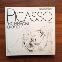 Libro Picasso
