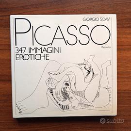 Libro Picasso