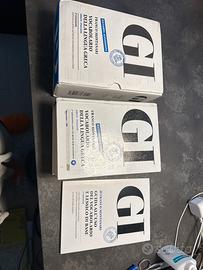 GI vocabolario di greco dizionario