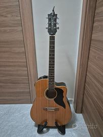 Chitarra acustica eko