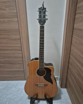 Chitarra acustica eko