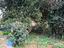 Immagine 18