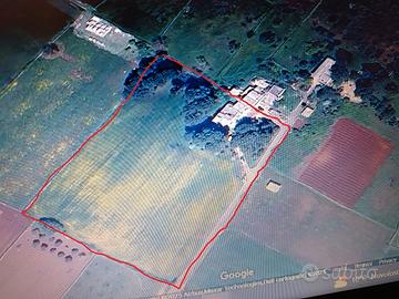 Villa masseria con trulli sovrani valle d'itria