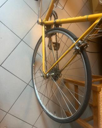 Bici uomo