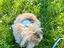 Immagine 4
