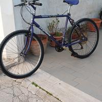 Bicicletta