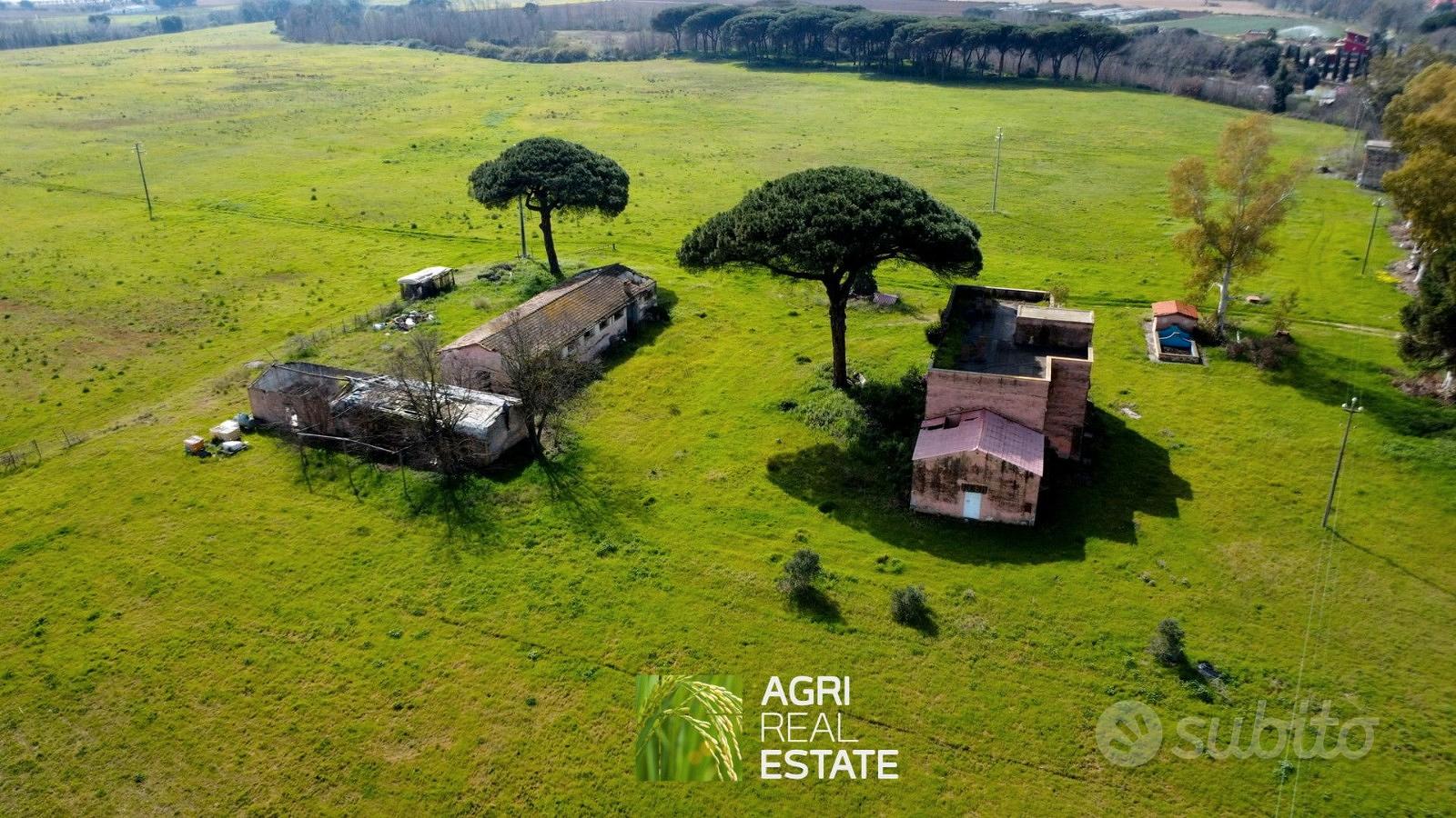 Terreno agricolo 51 HA con 1.000 mq di fabbricati - Vista 4