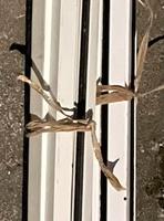 Zanzariera a rullo Roll Up