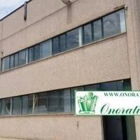 Capannone C2/C3 zona industriale di Fontenuova