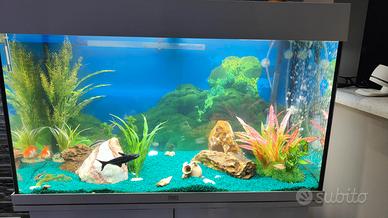 acquario juwel 120 litri LED