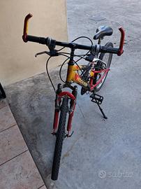 Bicicletta raggio 24