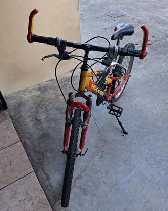 Bicicletta raggio 24