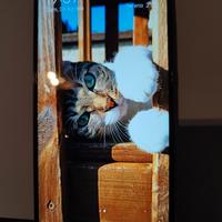 Telefono Redmi note 8 Pro