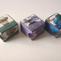 11 Cere profumate Linea Home