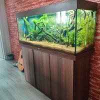 Acquario juwel rio 240 led