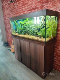 Acquario juwel rio 240 led