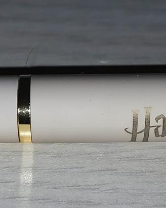 penna Harry Potter da collezione