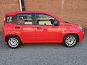 fiat-panda-1-0-firefly-s-s-hybrid