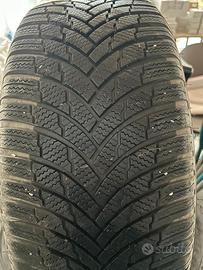 Gomme invernali 255.45.19