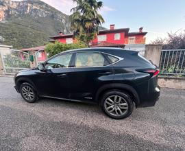 Lexus NX300