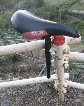 Bicicletta da donna