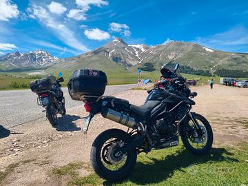 Triumph Tiger 800 xc 