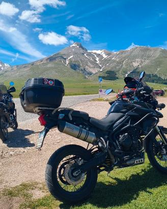 Triumph Tiger 800 xc 