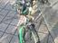Immagine 2