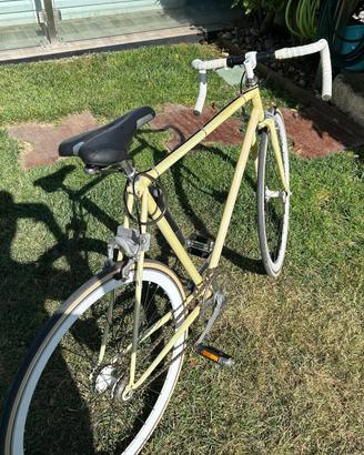Bicicletta uomo da passeggio