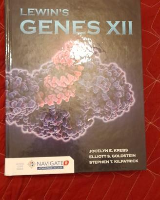 lewin's gene xii