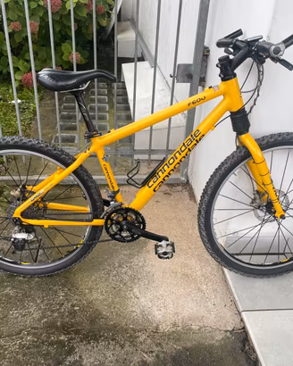 Due mtb cannondale