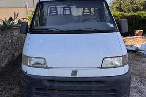 Fita Ducato Cassonato