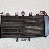 RADIATORE ACQUA x YAMAHA FAZER 600 2001 2002 FZS 2