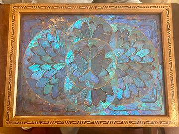 vassoio con ali di farfalla