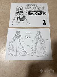 Settei sailor moon
