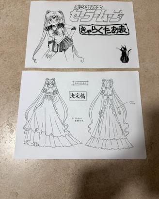 Settei sailor moon