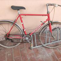 Bici Bottecchia da passeggio 24"