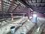 Immagine 21